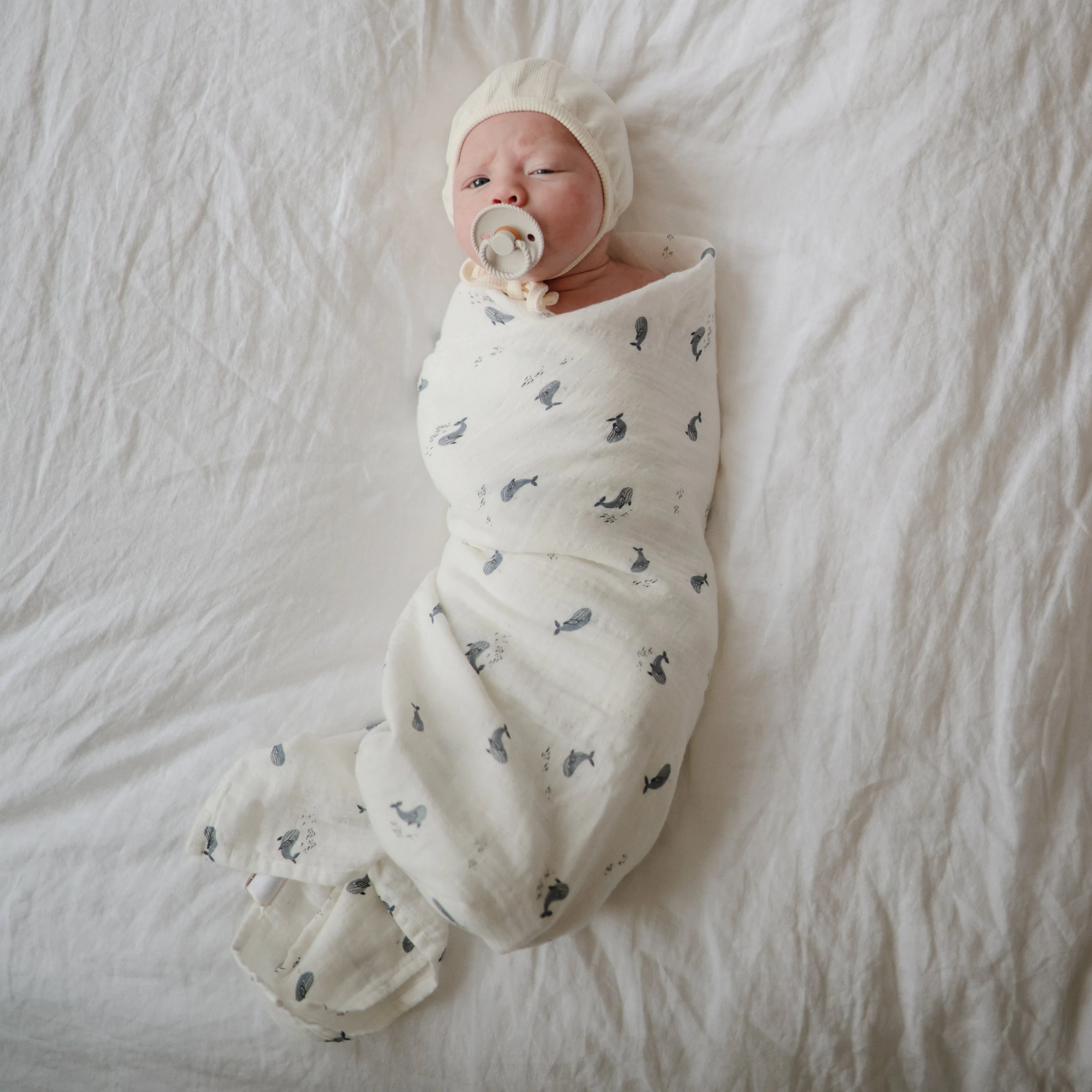 Product image 122